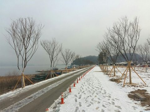 문인들의 의암호반 이야기길(수목식재) 조성사업 시공 사진
